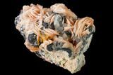 Cerussite Crystals with Bladed Barite on Galena - Morocco #165728-2